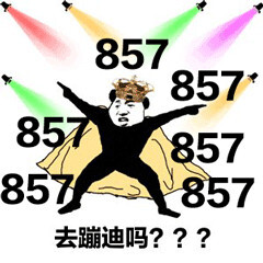 去蹦迪吗？857