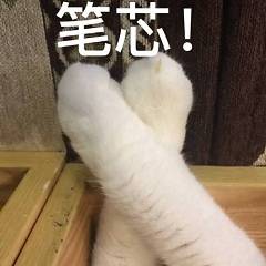 猫爪比心