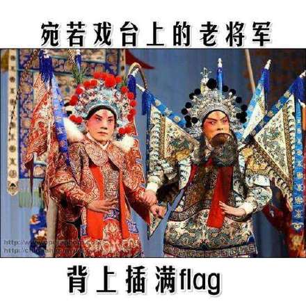 宛若戏台上的老将军背上插满flag