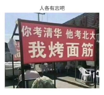 你考清华他考北大 我烤面筋 人各有志吧