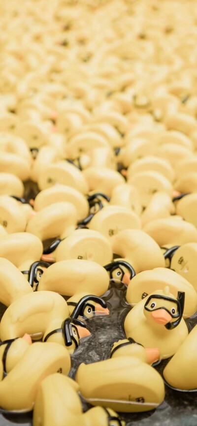 我还是很喜欢你，像鲸沉于海底温柔呼吸，痴极嗔极。