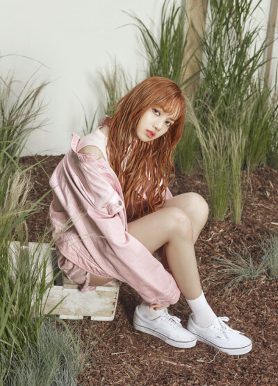 Lisa and，black pink，来喽