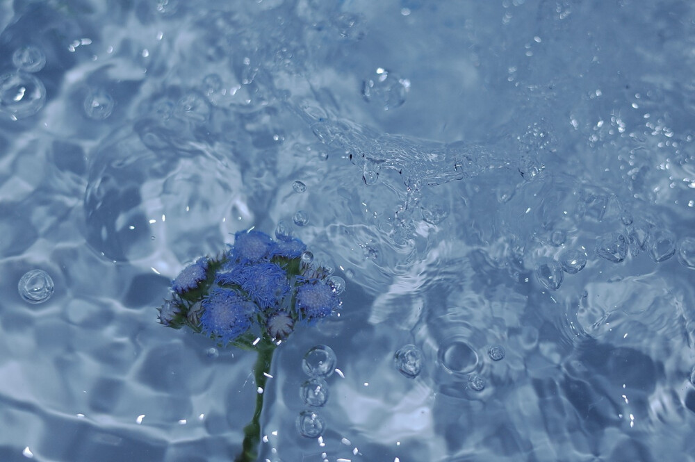 pure
嘻嘻借小伙伴的Gr2来瞎拍