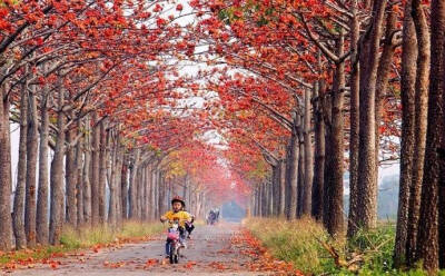 【原创】《春的背影》
——快开学了，请为孩子们准备好口罩、免洗消毒液，更重要的是防疫教导。
谷雨冒着寒风来到人间
青果被棉袄扔进冷
叶芽抖着牙包
娉婷裹着袄
口罩下，嘴角不能上翘
花伞郁郁寡欢，在街巷…