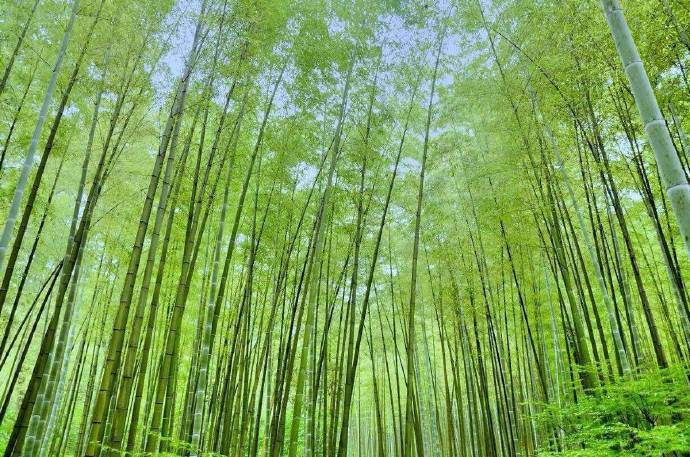 【原创】《问》
牡丹江，该有一江芳香
风在该起时吹起
涟漪在春水里荡漾
最美四月芳菲
开在一处河湾，紫绿红黄
四月来了又走
我的一江水，还未欢畅
有轻愁挂在眉梢，梦里满溢惆怅
我的手太柔，无力解开打成结的愁
只，声声切切的问
你，将欢畅寄往了何处？
请，记得回家的路
文/悠然 （@一诗一文 ）
#诗词# #牡丹江#