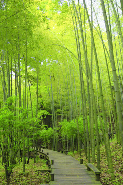 【原创】《问》
牡丹江，该有一江芳香
风在该起时吹起
涟漪在春水里荡漾
最美四月芳菲
开在一处河湾，紫绿红黄
四月来了又走
我的一江水，还未欢畅
有轻愁挂在眉梢，梦里满溢惆怅
我的手太柔，无力解开打成结的愁
…