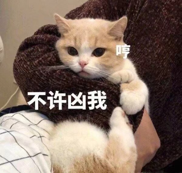 沙雕表情包 熊猫头 土味 可爱