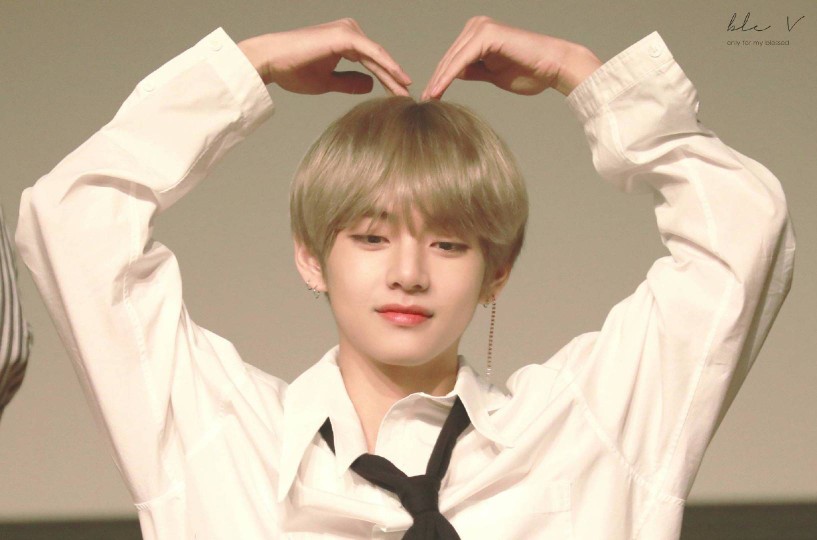 想你了VNA 好漂亮啊