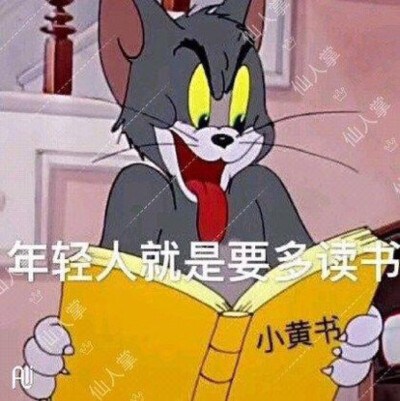 汤姆和杰瑞