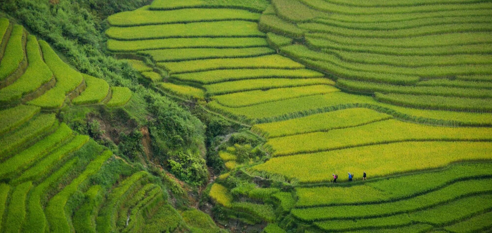 风景装扮着世界by牛肉面条儿