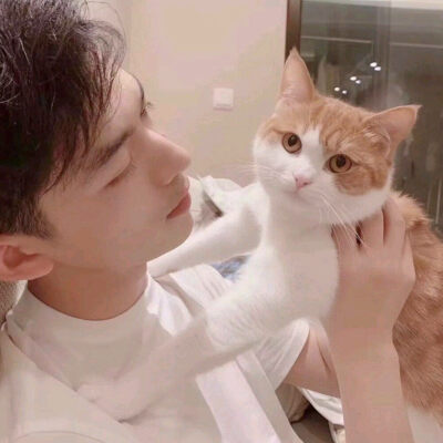 ，恋爱找我 我吃星球杯不用勺