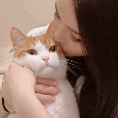 ，恋爱找我 我吃星球杯不用勺