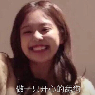 jennie 珍妮表情包