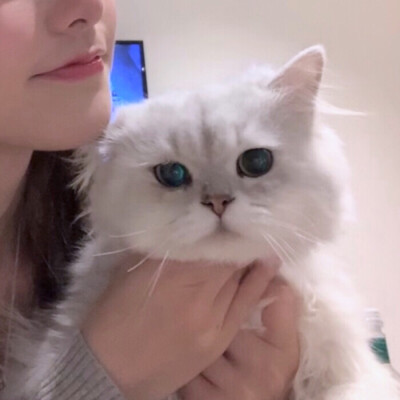 为什么不泡我
是不是因为配不上我