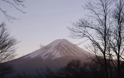 iPad 电脑壁纸～
图源网络 侵删