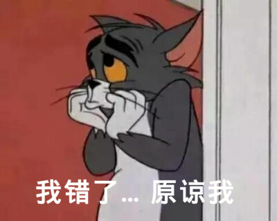 汤姆猫杰瑞❤️