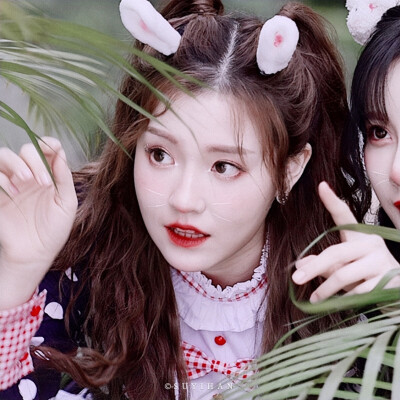 张楚寒｜段艺璇