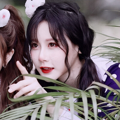 张楚寒｜段艺璇