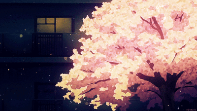 GIF，表情包，樱花，背景，森系