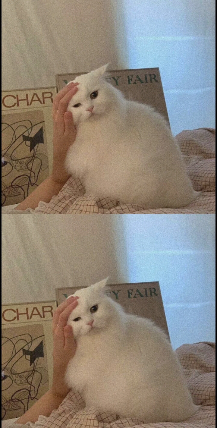 精致壁纸