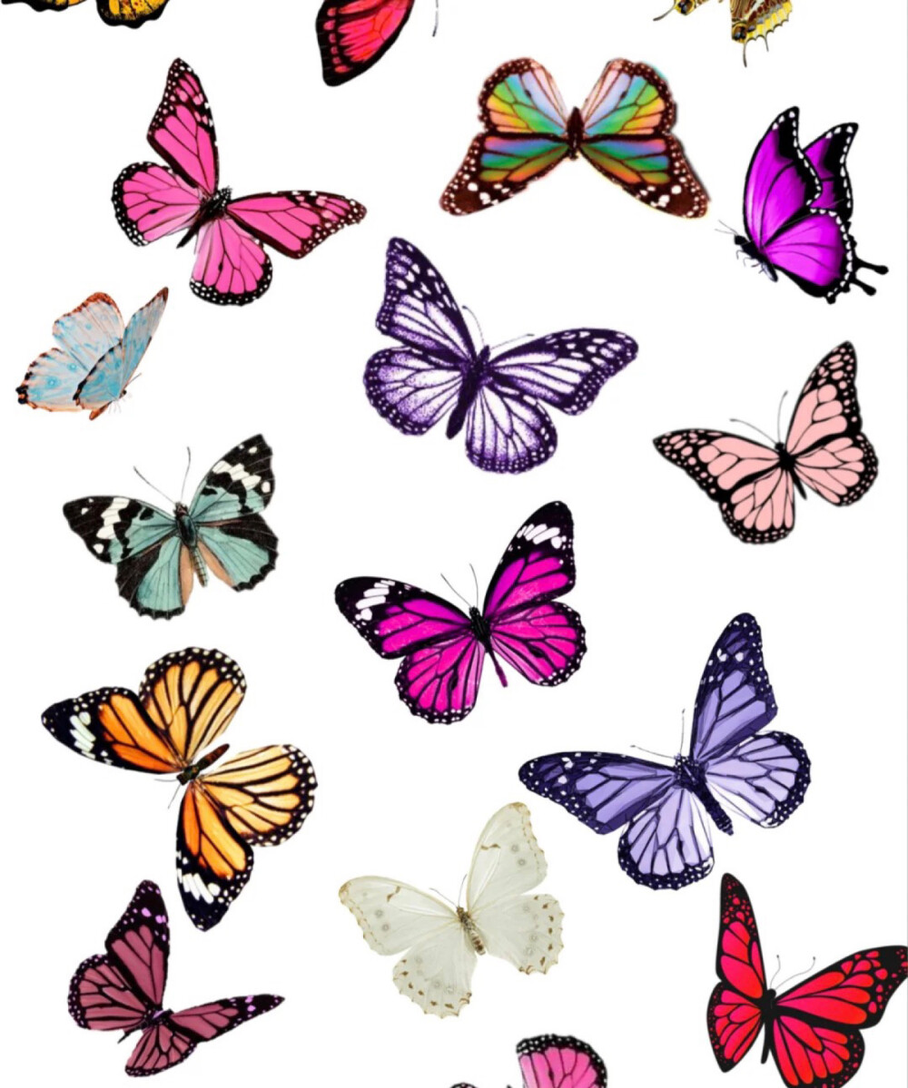 BUTTERFLY®