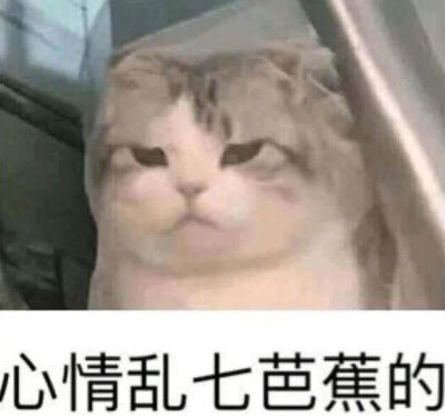 表情包