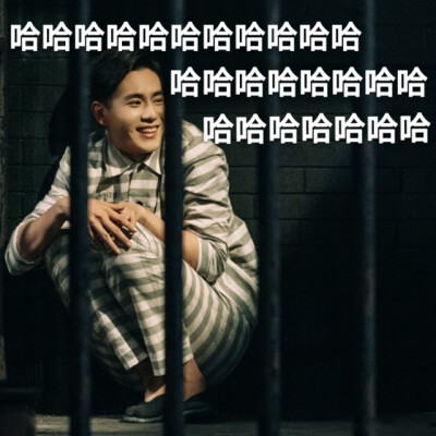 今日份快乐源泉