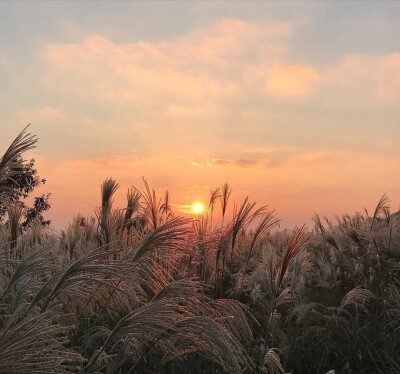 活的轻松点，你没有那么多观众。