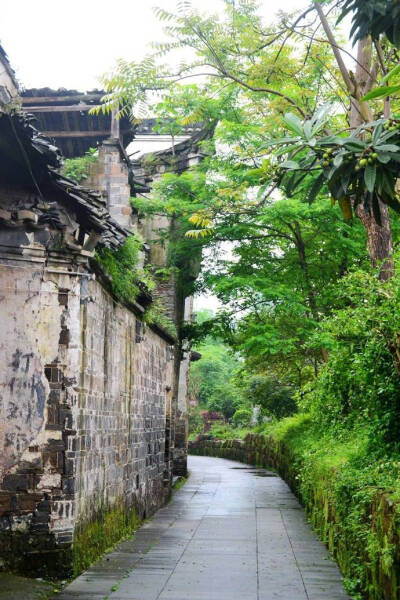 【原创】《渴盼》
天空中那轮余月弯弯
像爱人含笑的眉眼
如果
你是春天
我愿做那最美的蝶
在你的花间流涟
喜欢
微微的风
拂动发丝
就像你温暖的手轻抚我的脸
莹火虫
在黑夜里莹光闪闪
就像爱的火焰
在孤寂中点燃
…