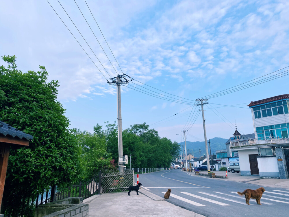 乡间清晨