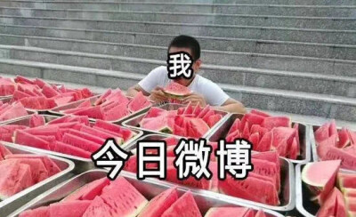 吃瓜表情包✔