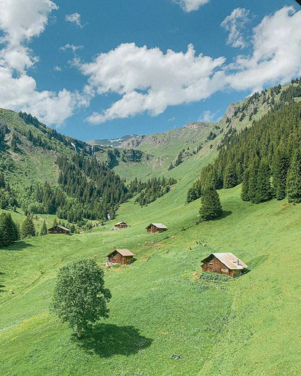 阿尔卑斯山脚下的瑞士小镇 格林德瓦Grindelwald 