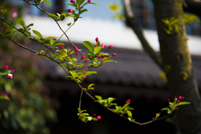 【原创】《 词.长相思.春悟》
云满川，花满川，袖里乾坤寰宇暖，世事闲云翻。
风满滩，草满滩，心中天地瀚海宽，浮生满帆悬。
文/以人为本（@一诗一文 ）
图/最美古风古诗词"西湖春色归， 春水绿于染。 ​​​​"
#春天# #诗词#