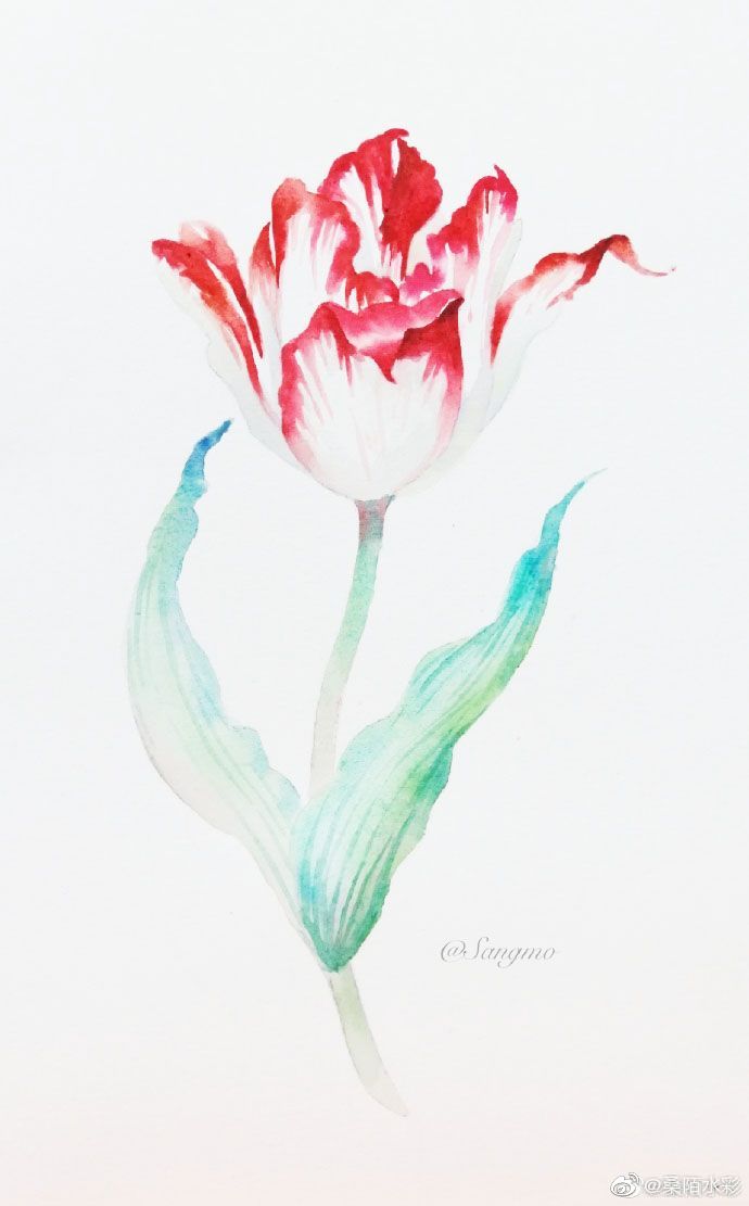 花卉