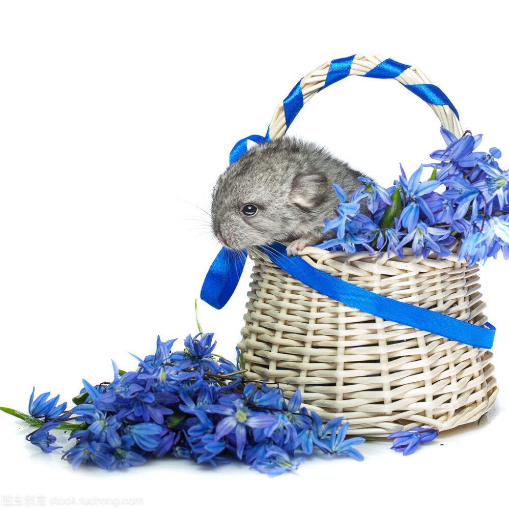 各种美翻摄影高清晰图片