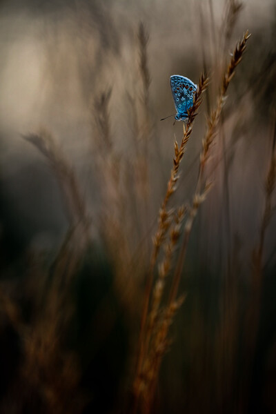 各种美翻摄影高清晰图片