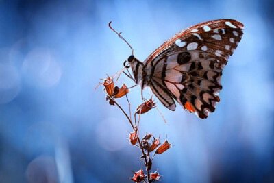 各种美翻摄影高清晰图片