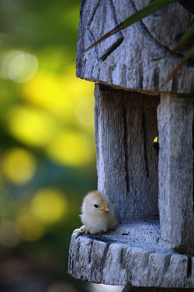各种美翻摄影高清晰图片