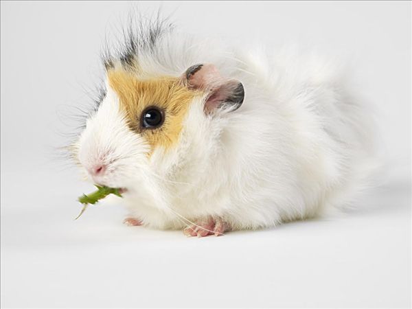 各种美翻摄影高清晰图片