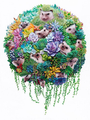 Jacub Gagnon动物插画