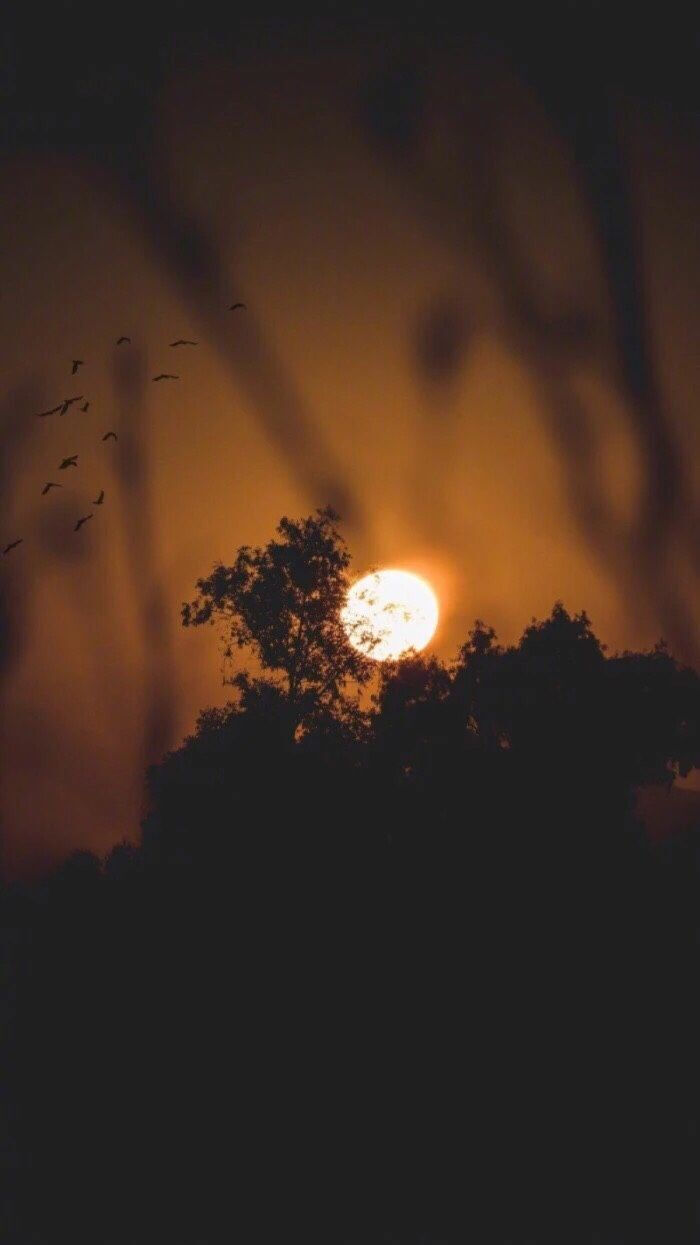 【原创】《当时明月》
那一夜
月色如银
一轮圆月
照在明镜般的海面
晚风
牵起浪花
闪烁着粼粼的波光
月光
深情地吻着海浪
海边的马尾松
倾身静听
我俩的长谈
听惯了
军号的嘹亮
听惯了
惊涛拍岸的声响
海边的巡逻小道
似长又短
边疆
挥洒青春热血的地方
心中
有着太多太多的留恋
战友间的情谊
宛若月光般
真挚而清纯
经久而绵长
那年分别后
思念
常常萦绕着月光我走进大学校园
你上了前线
从此
天各一方
今夜晚
当时明月在
你又在何方
月已西斜
大海早已入眠
一片彩云
从海上飞来
在沙滩上
久久徘徊
文/韩星 （@一诗一文 ）
图/堆糖
写于二O二O年四月二十五日凌晨
#诗词# #情感#