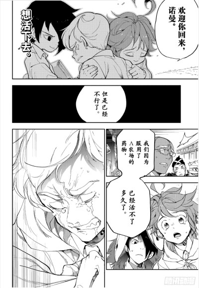约定的梦幻岛 漫画自截