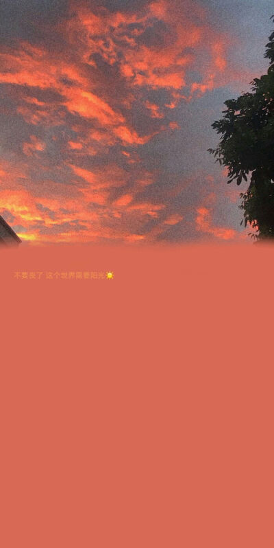 半图，文字控 壁纸 背景