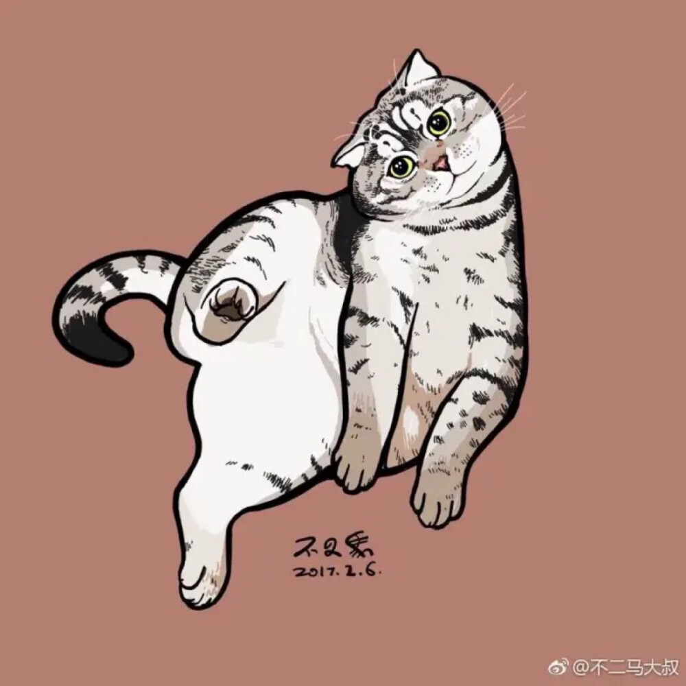 猫猫