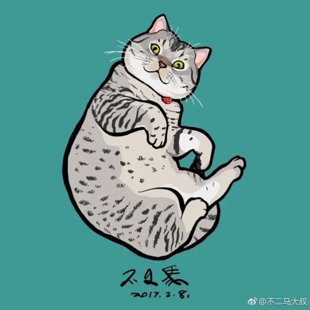 猫猫