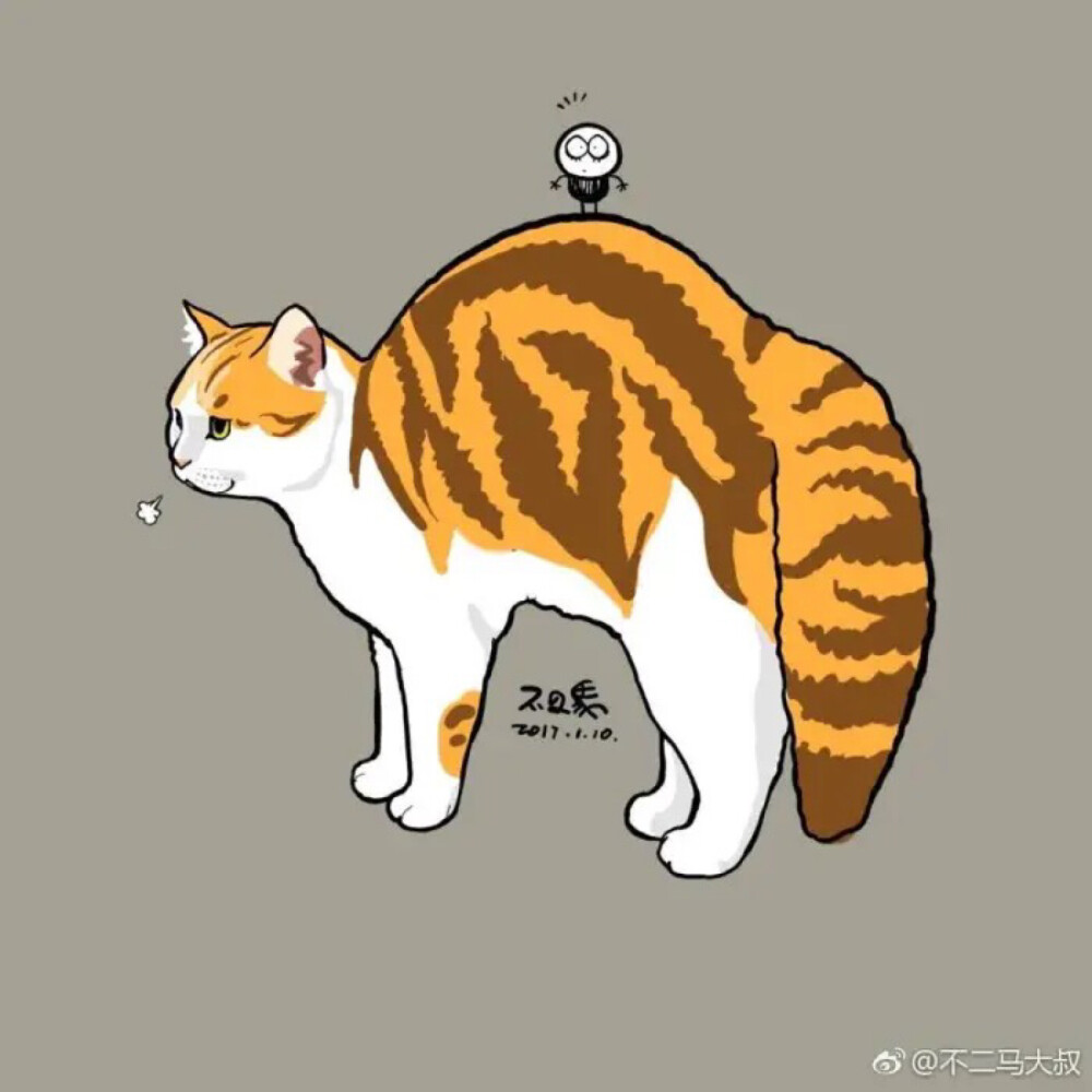 猫猫