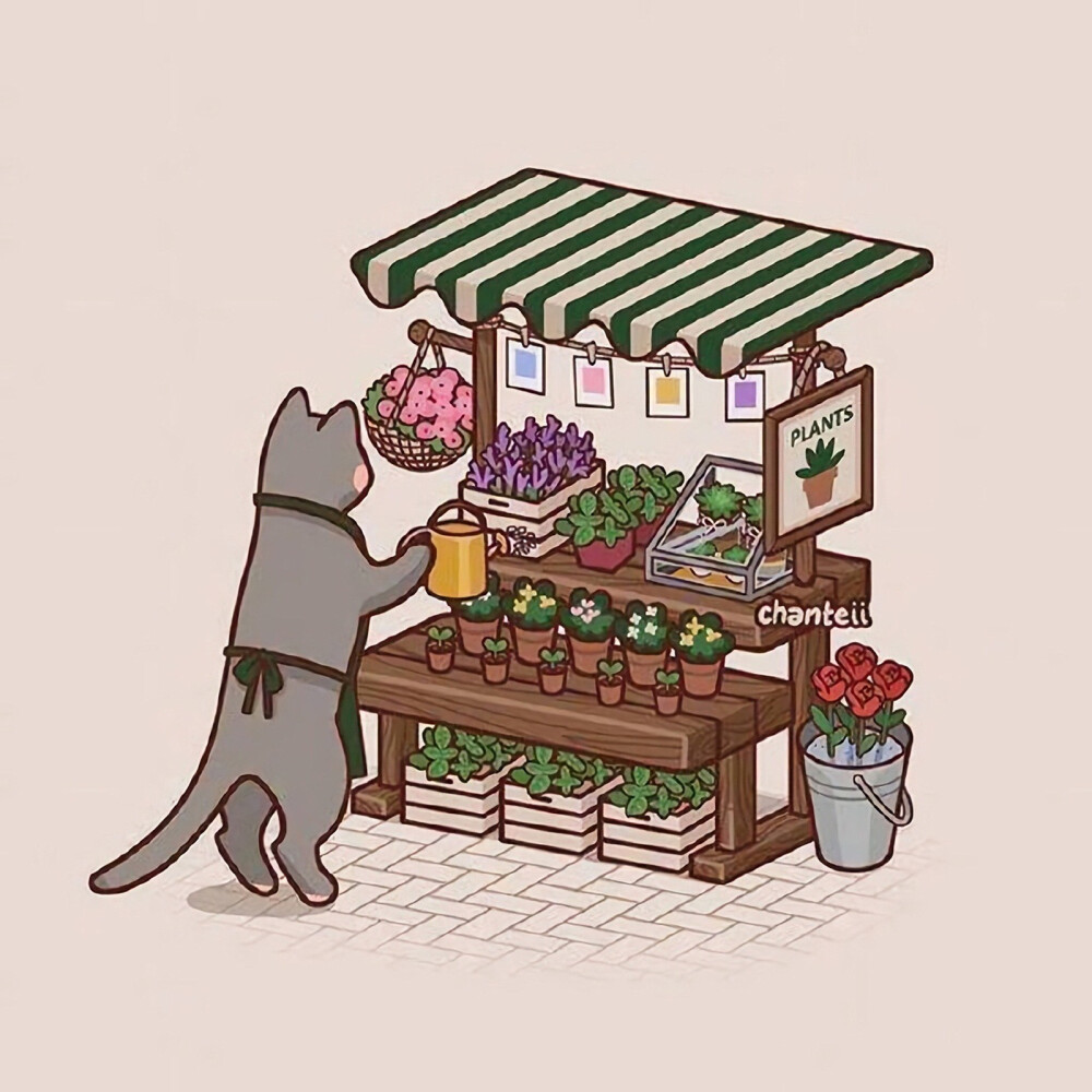 猫猫杂货店