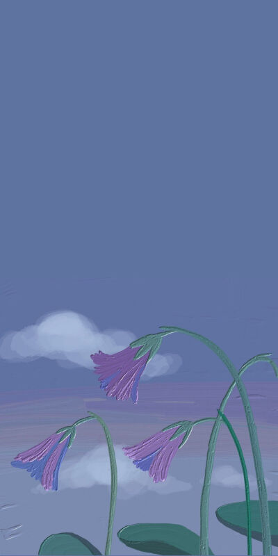 #油画壁纸#
第三弹
后来也有人奔我而来，可我已不敢义无反顾.