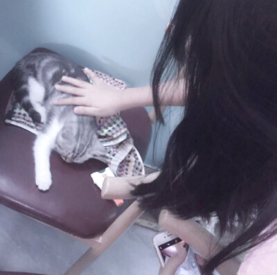 二传注明堆糖闻娇