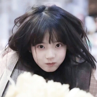 二传注明堆糖闻娇